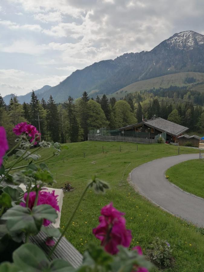 Haus Obweg - Postalm Lejlighedshotel Hallein Eksteriør billede