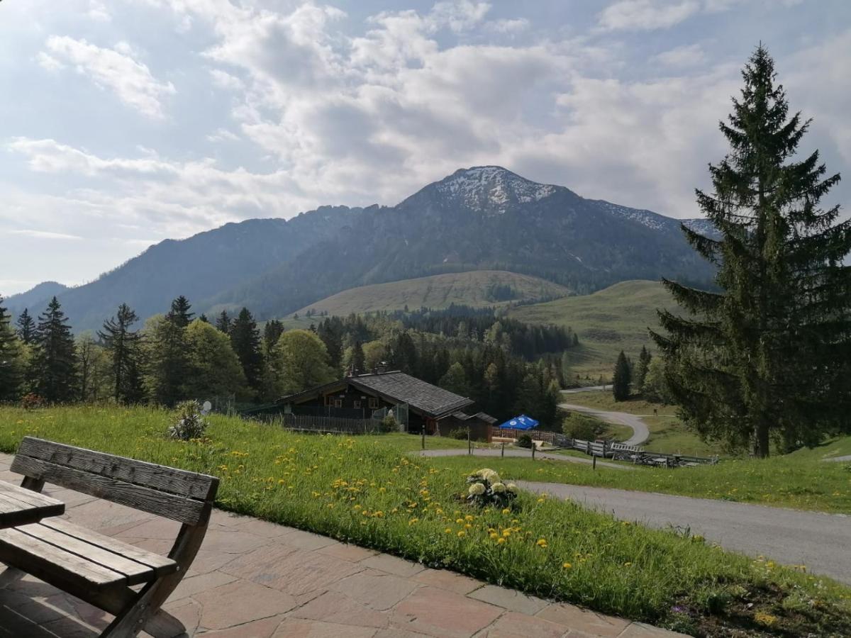 Haus Obweg - Postalm Lejlighedshotel Hallein Eksteriør billede
