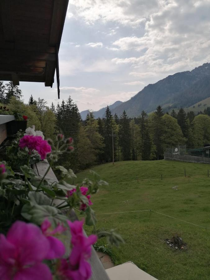 Haus Obweg - Postalm Lejlighedshotel Hallein Eksteriør billede